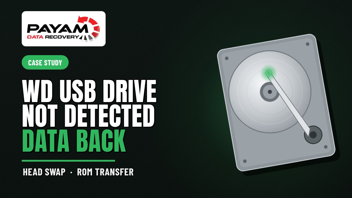 Case study graphic: WD USB Drive Not Detected, Data Back
