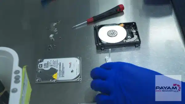 Western Digital hard drive recovery case completed in Sydney lab by Payam Data Recovery