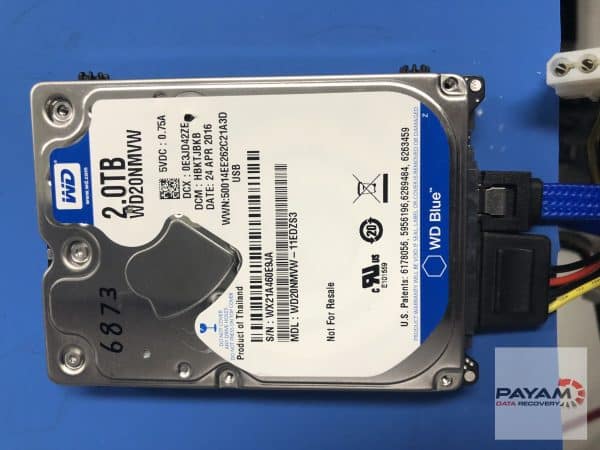 Western Digital 2TB hard drive being serviced by Payam Data Recovery for expert western digital hard drive recovery in Sydney.