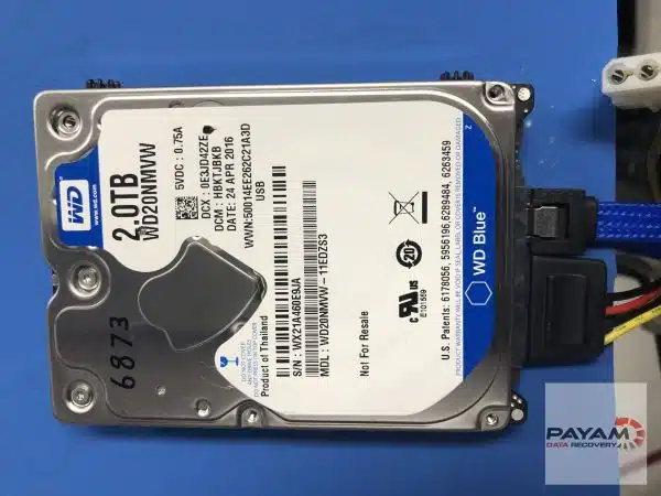 Western Digital 2TB hard drive being serviced by Payam Data Recovery for expert western digital hard drive recovery in Sydney.