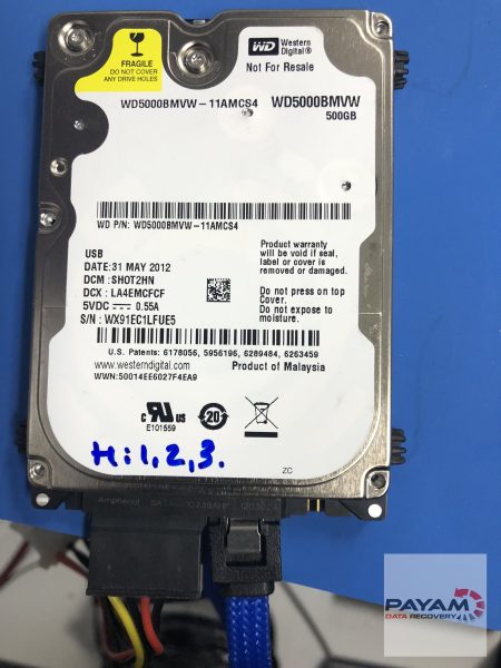 Western Digital hard drive data recovery case study showing professional head crash repair process