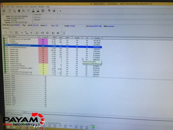 Hard drive cloning after head swap using PC3000 at Payam Data Recovery Melbourne