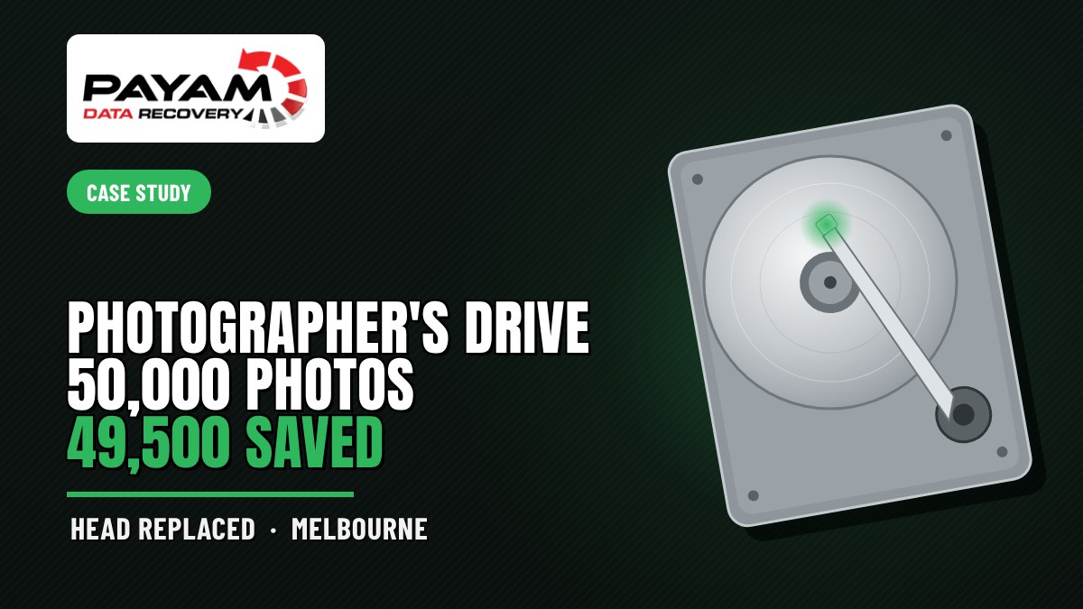 Case study graphic: Photographer's Drive 50,000 Photos, 49,500 Saved