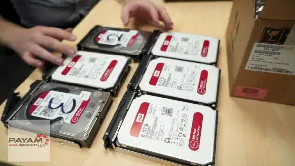 Hand arranging six WD Red hard drives on the desk for RAID data recovery
