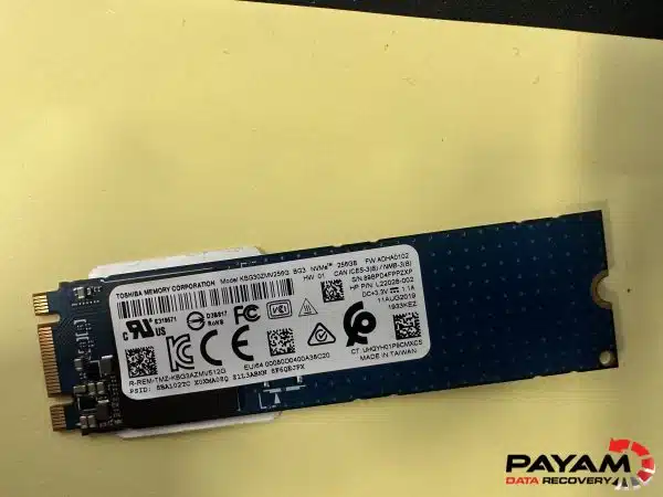 Failed SSD data recovery specialists examining Toshiba NVMe drive in Brisbane cleanroom