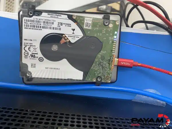 External USB hard drive not detected recovery success using Western Digital drive at Payam Data Recovery