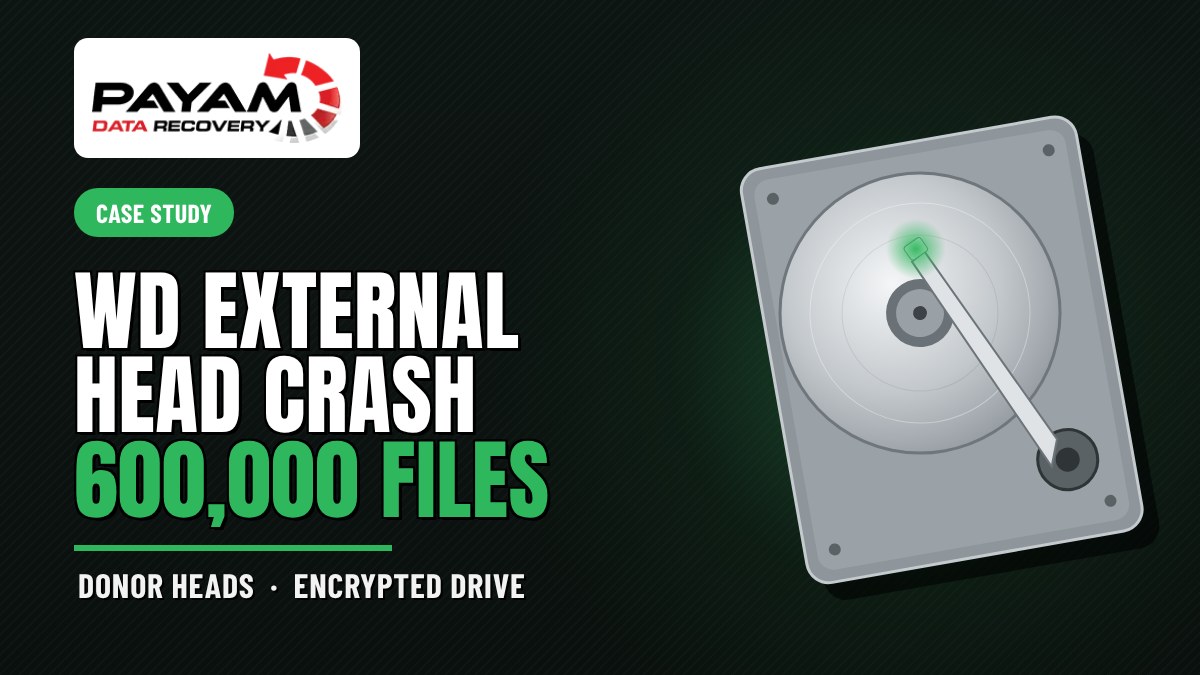 Case study graphic: WD External Head Crash, 600,000 Files