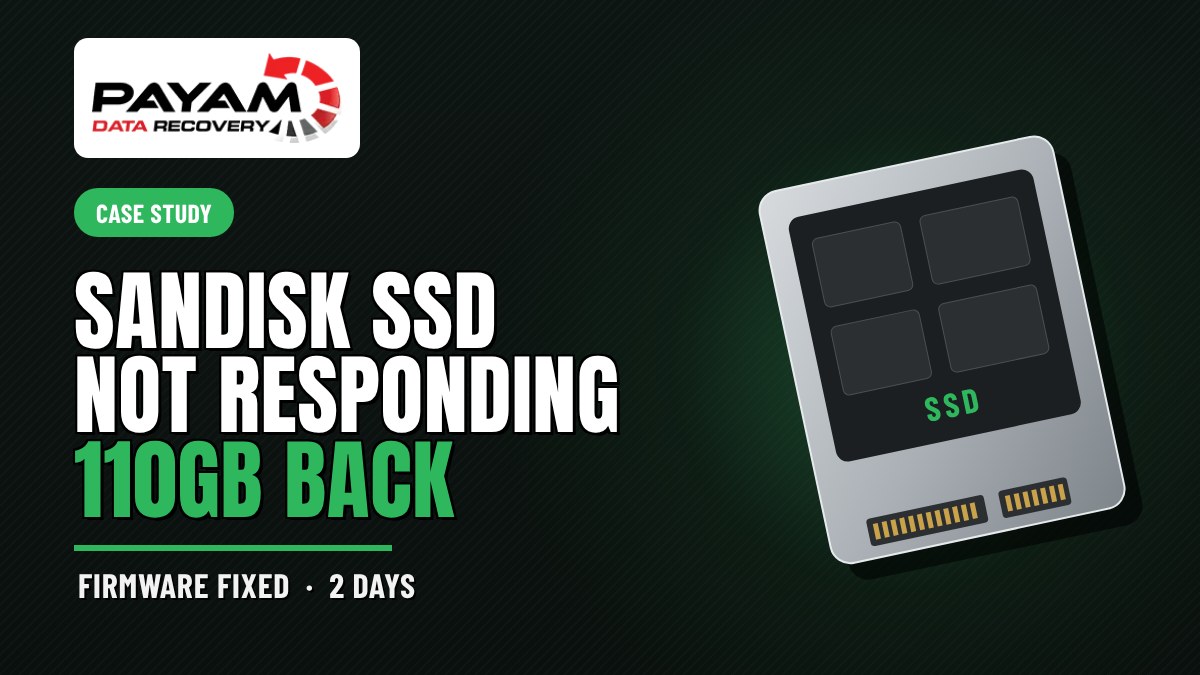 Case study graphic: SanDisk SSD Not Responding, 110GB Back