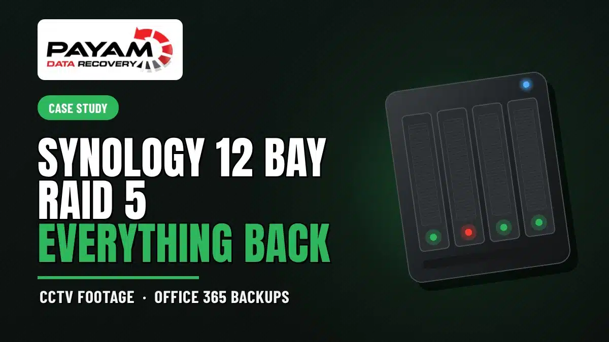 Case study graphic: Synology 12 Bay RAID 5, Everything Back