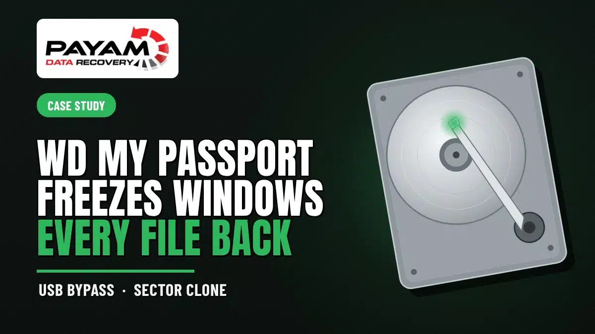 Case study graphic: WD My Passport Freezes Windows, Every File Back