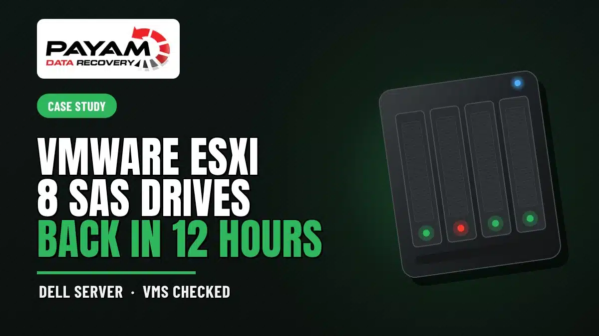 Case study graphic: VMware ESXi 8 SAS Drives, Back In 12 Hours