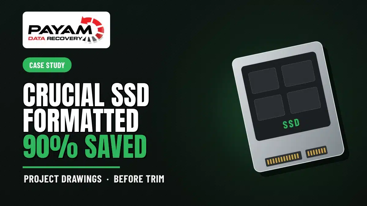 Case study graphic: Crucial SSD Formatted, 90% Saved